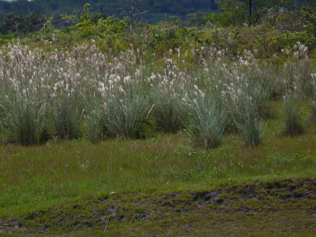 Pousada Vovo Alice Serra do Cipo National Park Экстерьер фото